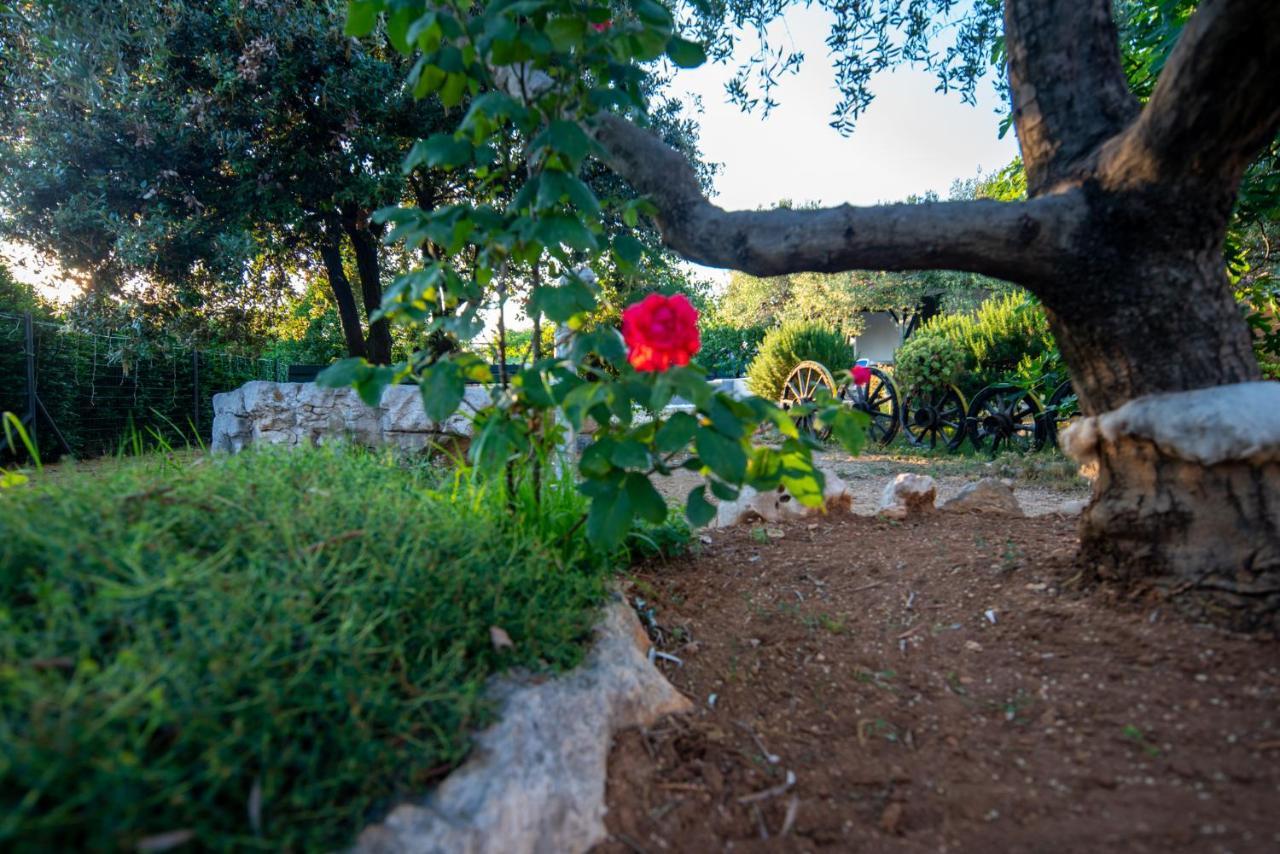 Holiday House Cvita Biograd Na Moru Buitenkant foto