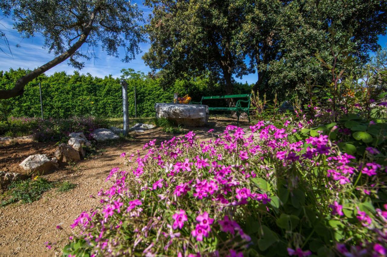 Holiday House Cvita Biograd Na Moru Buitenkant foto
